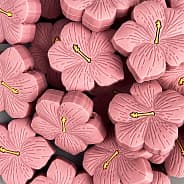 BLUSH